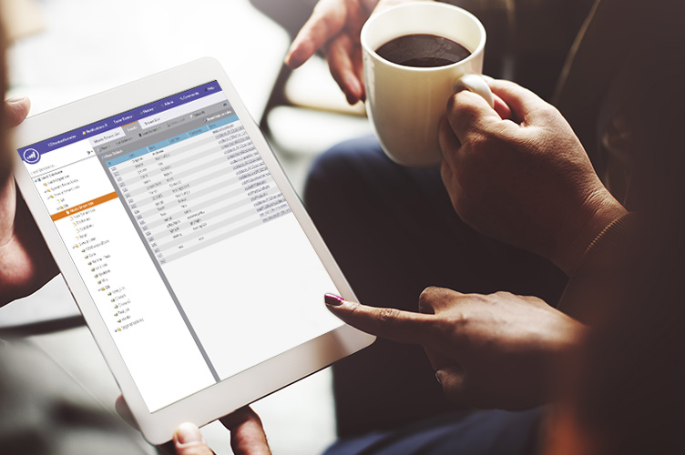 Collect leads and grow your business