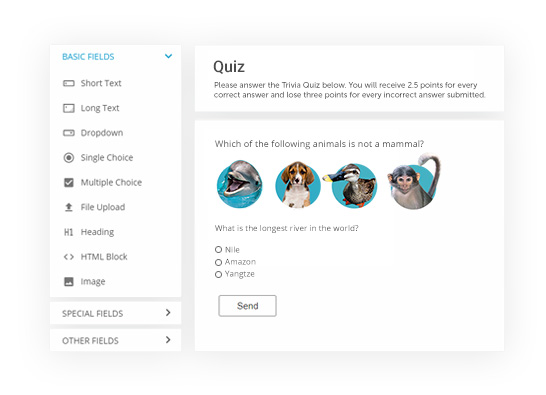 online Quiz builder with images and custom design editor